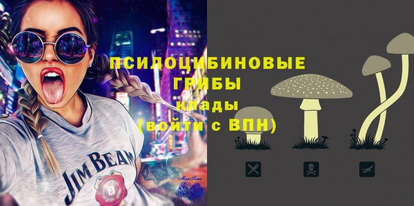 стаф Алзамай