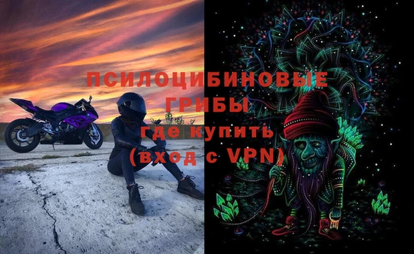 не бодяженный Абаза